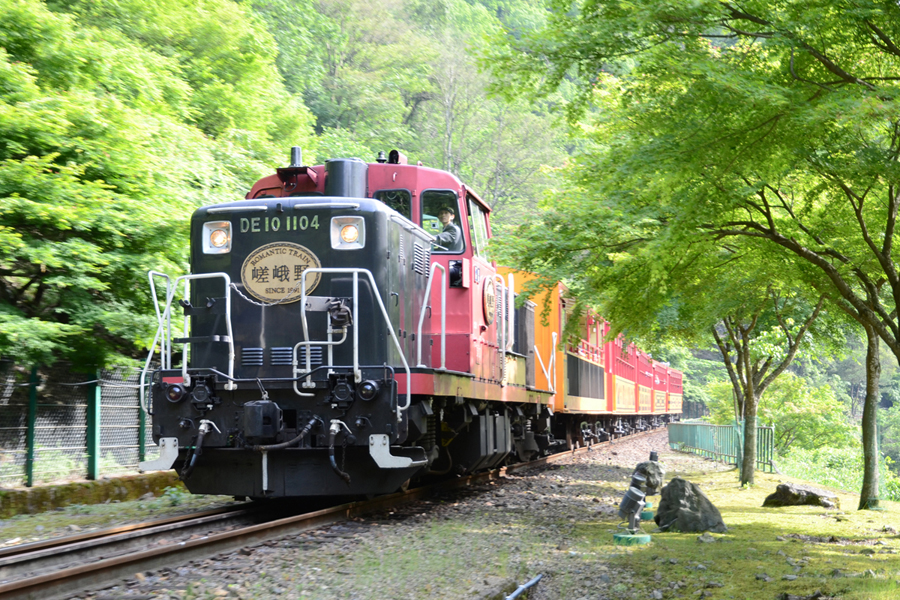 Osaka Dep. [T] Sagano Romantic Train & Kyoto One Day Bus Tour (No Lunch)